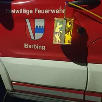 MARTINSUMZUG.jpg