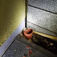 igel2.jpg