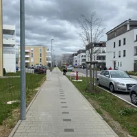 B1.jpg