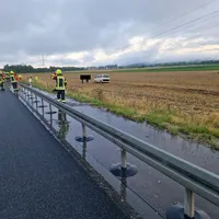 Feld3.jpg