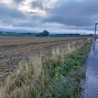 Feld1.jpg